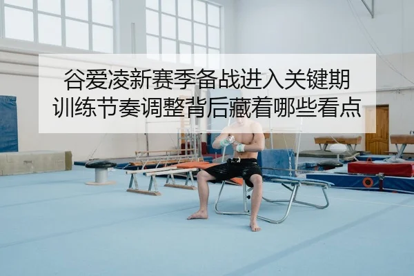谷爱凌新赛季备战进入关键期 训练节奏调整背后藏着哪些看点